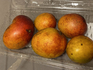 沖縄のお土産はマンゴーで決まり
