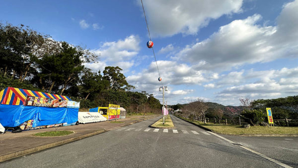 第45回もとぶ八重岳桜まつり