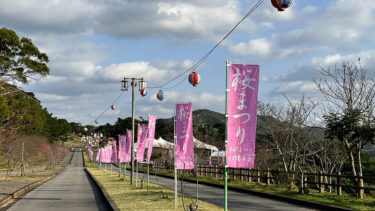 第45回もとぶ八重岳桜まつり 2023年　