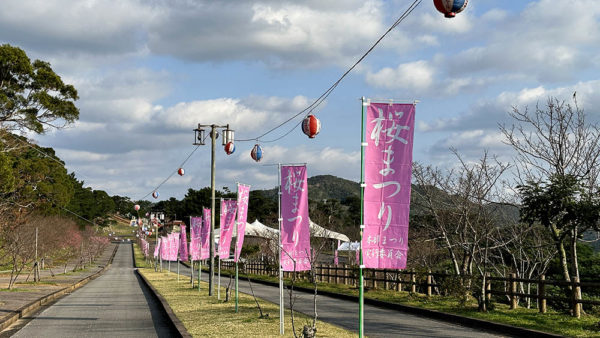 第45回もとぶ八重岳桜まつり
