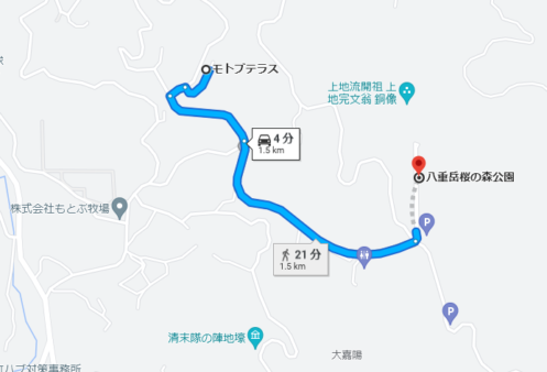 モトブテラスから八重岳 桜まつり会場